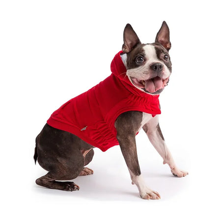 Dog wearing a red hoodie on a white background