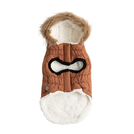 Brown dog coat with fur hood and white fur trim on a white background