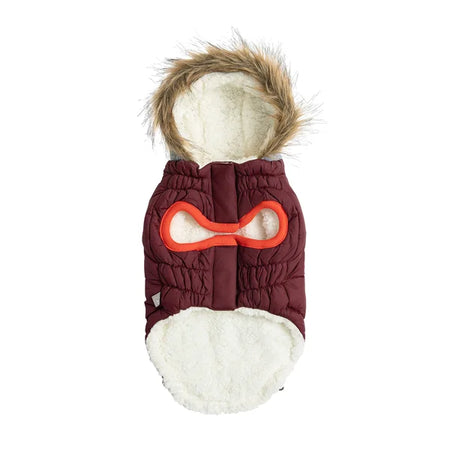 Dog coat with a red bone design on a white background