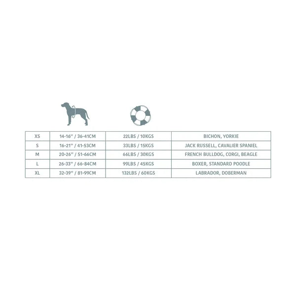 Dog size chart with measurements and breeds on a white background