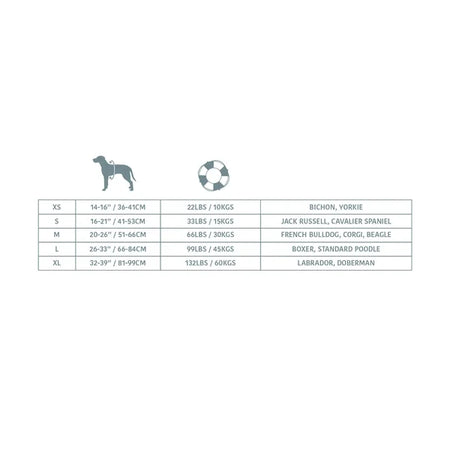 Dog size chart with measurements and breeds on a white background