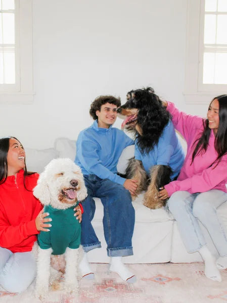 Four people sitting on a couch with two dogs, all wearing colorful clothing.
