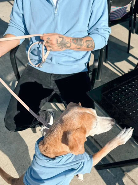 Person holding a dog on a leash outdoors, with a chair and table in the background.