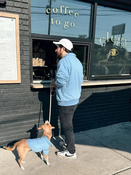 Person with a dog wearing a sweater standing outside a coffee shop.
