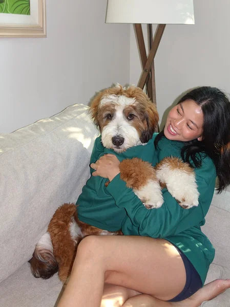 Woman in a green sweater holding a brown and white dog on a couch.