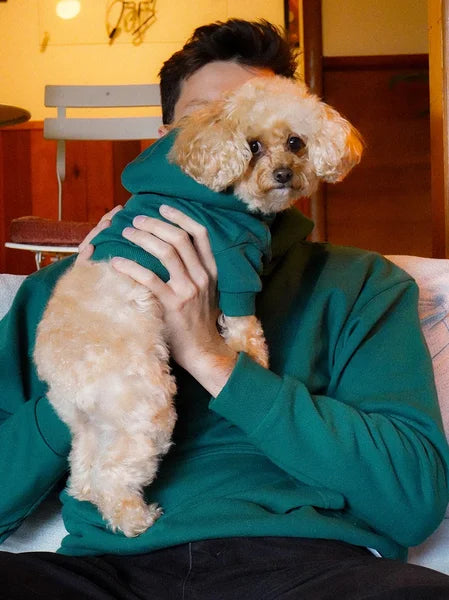 Person holding a small dog wearing a green sweater indoors.
