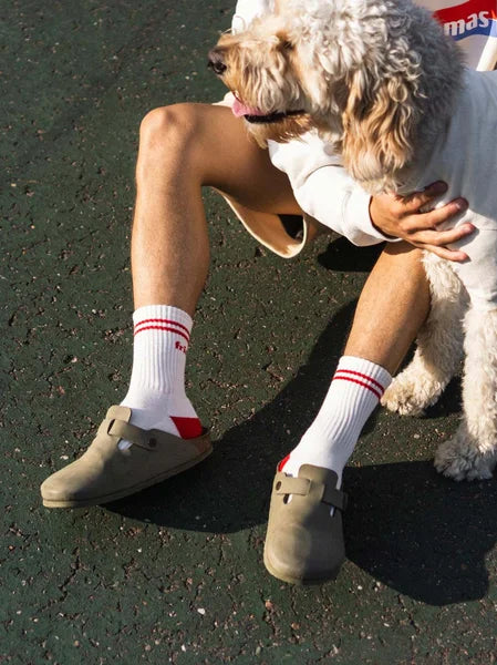 Person wearing white socks with red stripes and brown shoes, sitting on a dark surface with a dog.