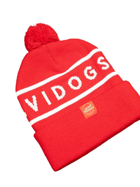 Red beanie with 'VIDOGS' text and a logo on a green background