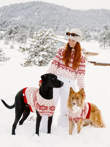 Woman in a patterned sweater with two dogs wearing matching sweaters in a snowy landscape.