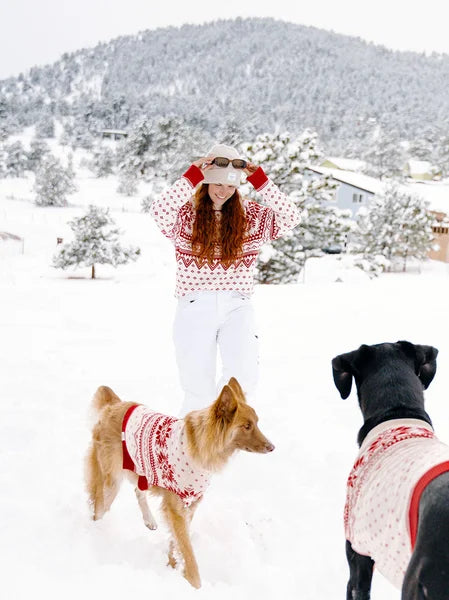 Woman in a red and white patterned sweater with two dogs in matching outfits in a snowy landscape.