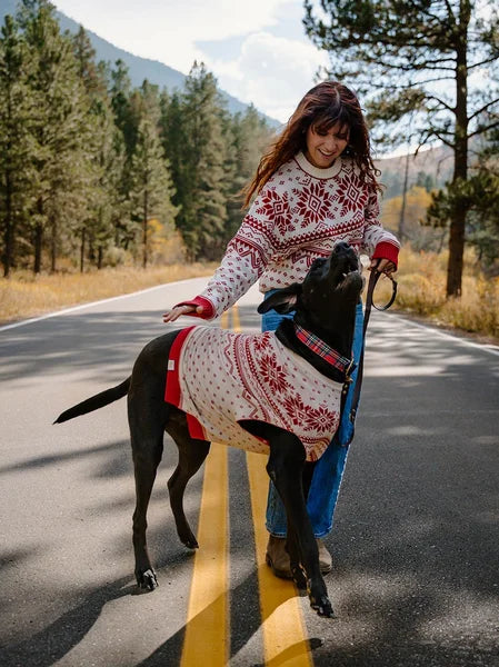 Woman and dog walking on a road with a forest in the background