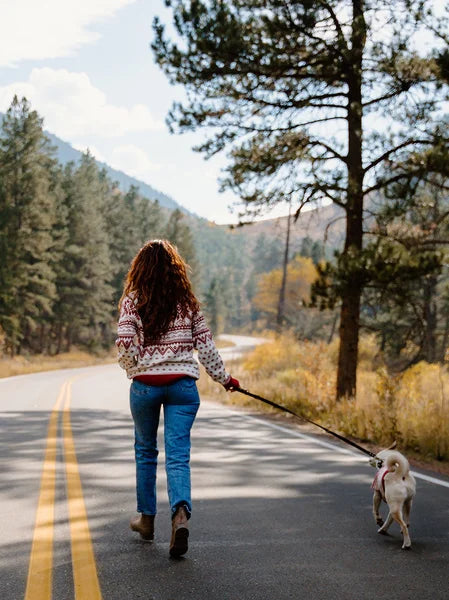 Person walking a dog on a road surrounded by trees and mountains