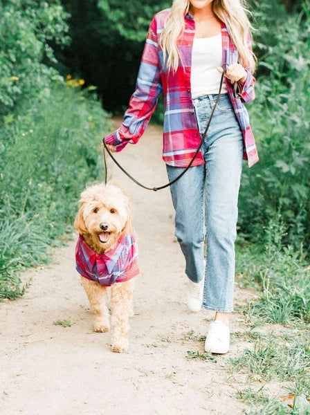 Woman walking a dog on a leash in a park
