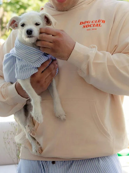 Person holding a small white dog wearing a blue striped sweater, with 'Dog Club Social' hoodie.