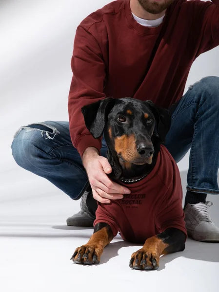 Person wearing a red hoodie with a dog sitting on their lap against a white background