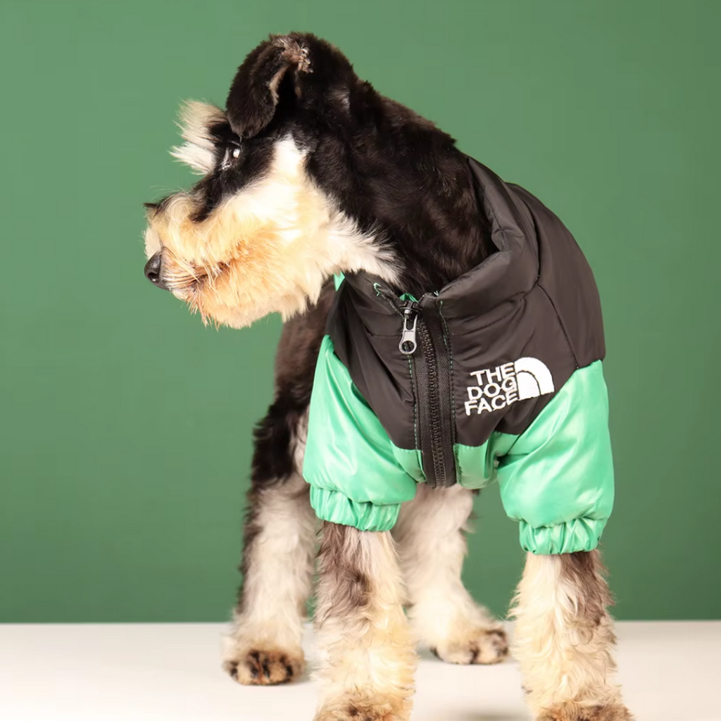 Green Dog Face Jacket – Cozy & Cute for Small Breeds image 2