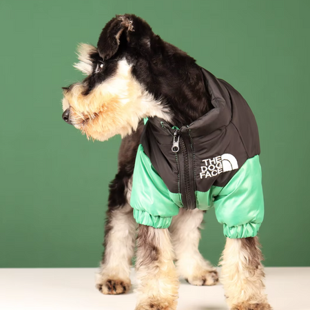Green Dog Face Jacket – Cozy & Cute for Small Breeds image 2