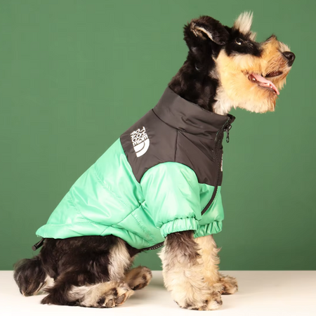 Green Dog Face Jacket – Cozy & Cute for Small Breeds image 3