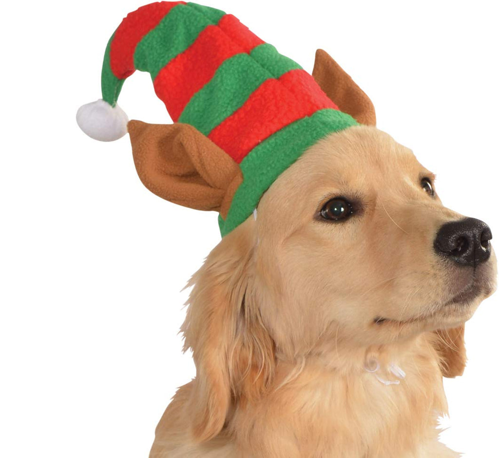 Dog wearing a festive elf hat with red and green stripes on a white background