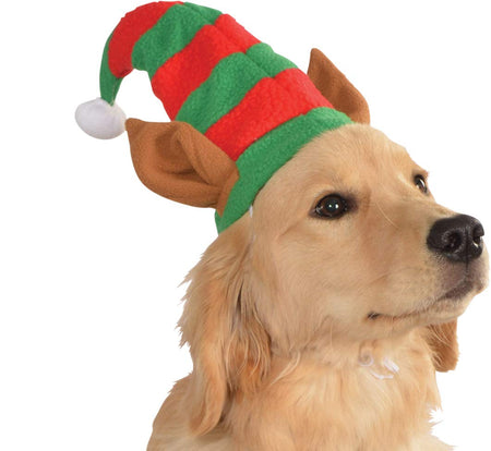 Dog wearing a festive elf hat with red and green stripes on a white background