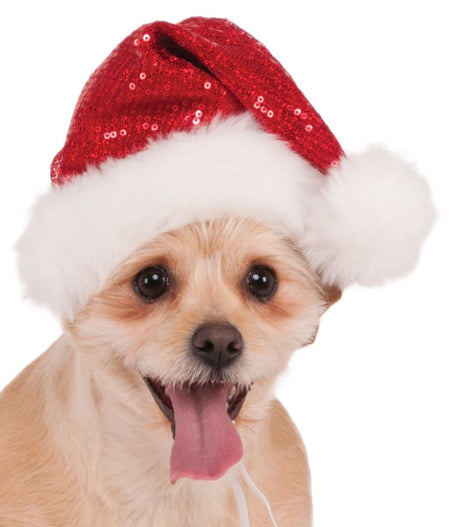 Dog wearing a red sequin Santa hat on a white background
