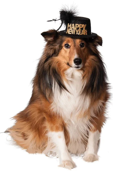 Dog wearing a 'Happy New Year' hat on a white background