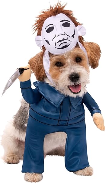 Dog wearing a Halloween-themed costume with a mask and blue outfit on a white background