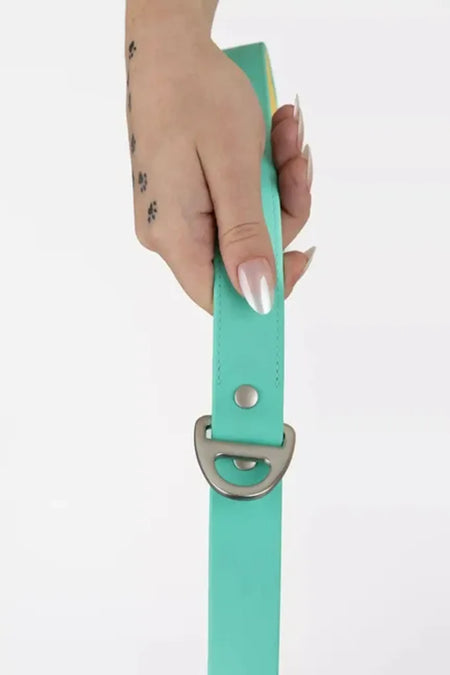 Island Vibes Waterproof Dog Leash - Aria the Fox image 2