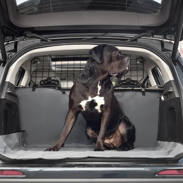 Dog sitting in a car trunk with a pet safety barrier