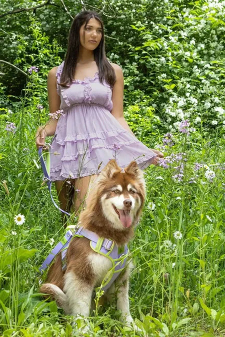 Lavender Garden Ultimate Dog Harness - Aria the Fox girl and dog