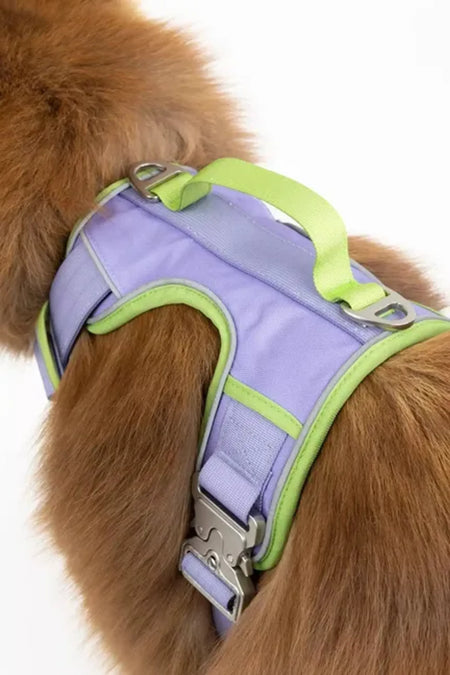 Lavender Garden Ultimate Dog Harness - Aria the Fox handle