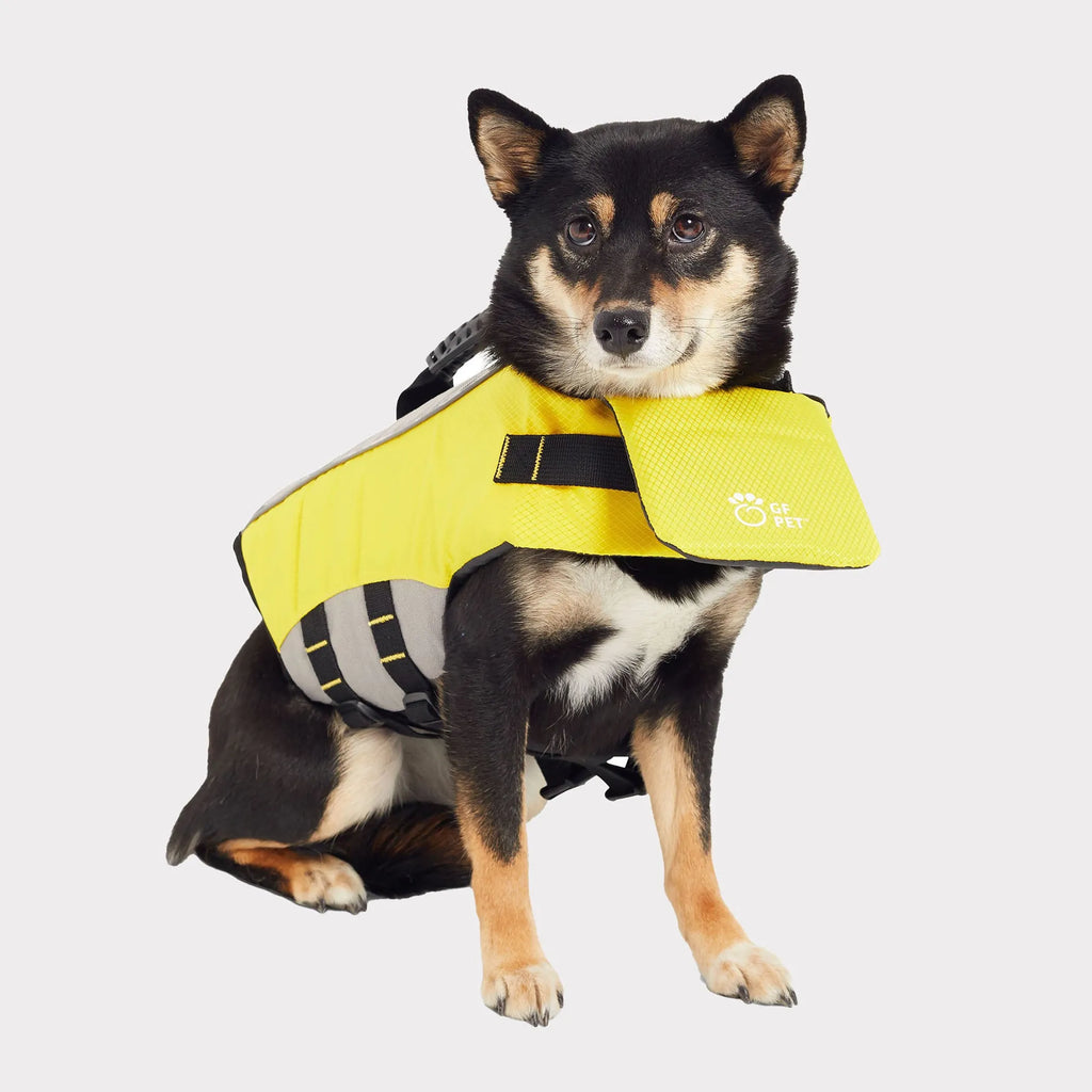 Life Vest for Dogs - GF Pet on dog