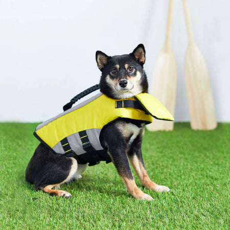 Life Vest for Dogs - GF Pet on dog 2