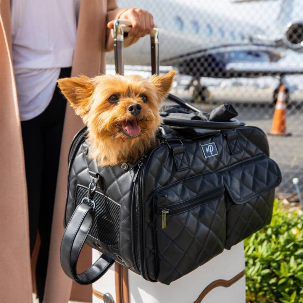Lux Pet Carrier for Dogs - Petique with dog