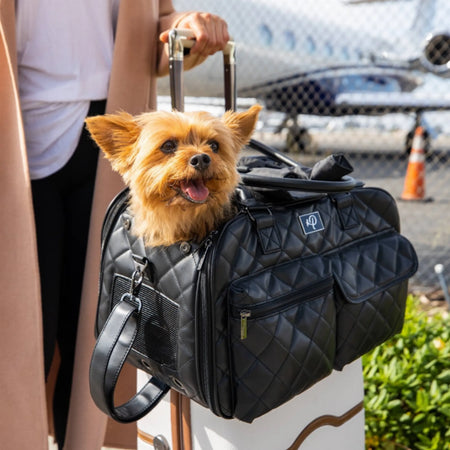 Lux Pet Carrier for Dogs - Petique with dog