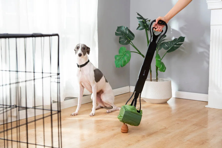 Dog sitting on a wooden floor next to a black pet gate with a plant and a green toy in the foreground.