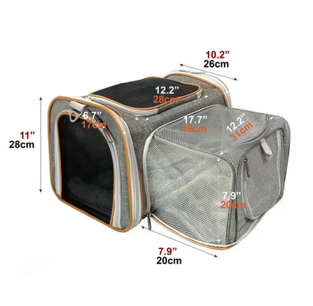 Pet carrier with dimensions marked on a white background