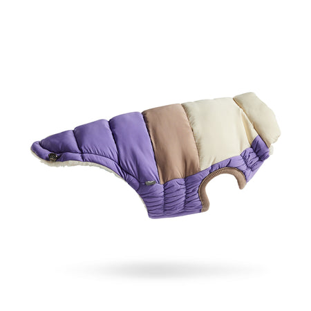 Multicolored dog coat with purple, beige, and brown sections on a white background
