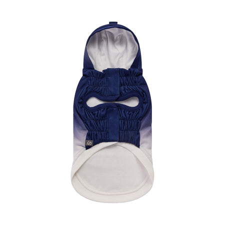 Navy blue dog hood with white interior on a white background
