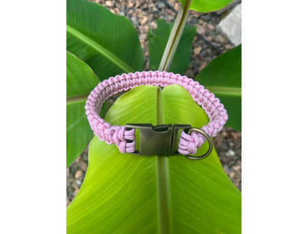Pink paracord dog collar on a green leaf