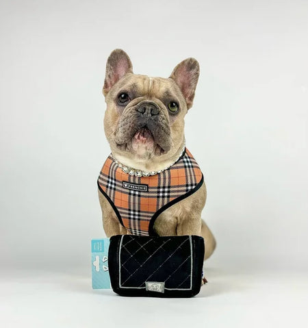 Dog wearing a plaid harness with a black bag on a white background