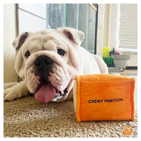 Dog lying on the floor with an orange chew toy labeled 'Chewy Pawton' in a home setting.