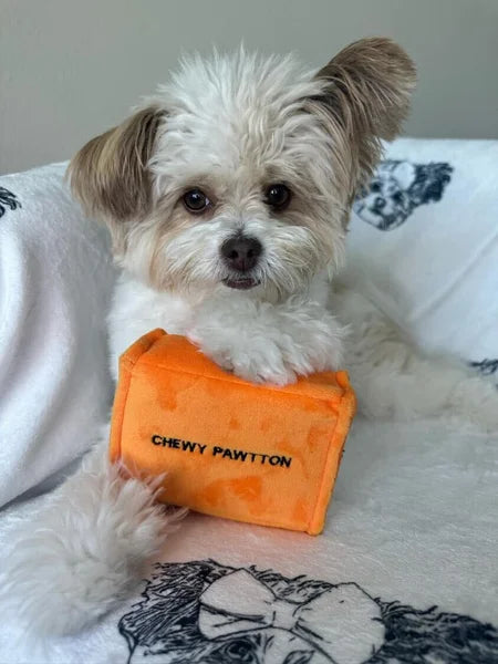 Small white dog holding an orange toy with 'Chewy Pawton' branding on a patterned blanket.