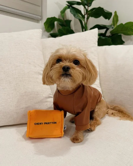 Dog wearing a brown outfit with an orange bag labeled 'Chewy Pawton' on a white couch.