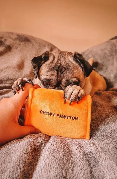 Pug dog playing with an orange chew toy labeled 'Chewy Pawtton' on a soft surface.