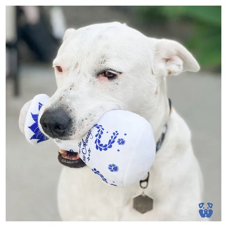 White dog holding a white ball with blue patterns in its mouth.