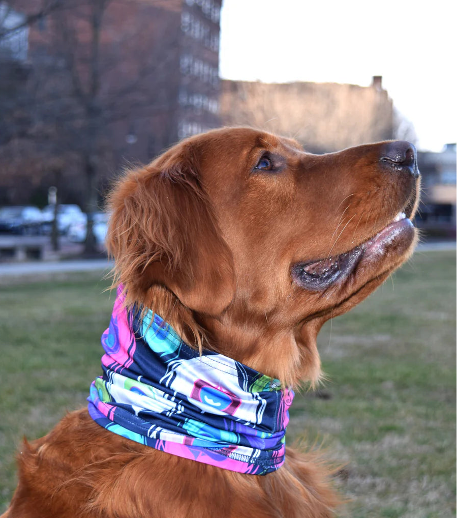 Peacock Splash Scruff for Dogs - Pup Scruffs on dog