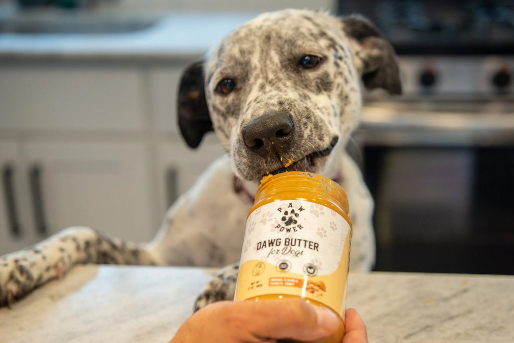 Peanut Butter for Dogs - Paw Power Nutrition lifestyle