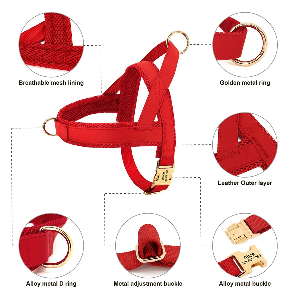 Personalized_Leather_Dog_Harness_features