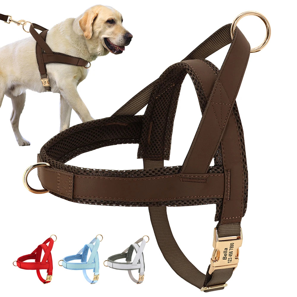 Personalized_Leather_Dog_Harness_showcase_image